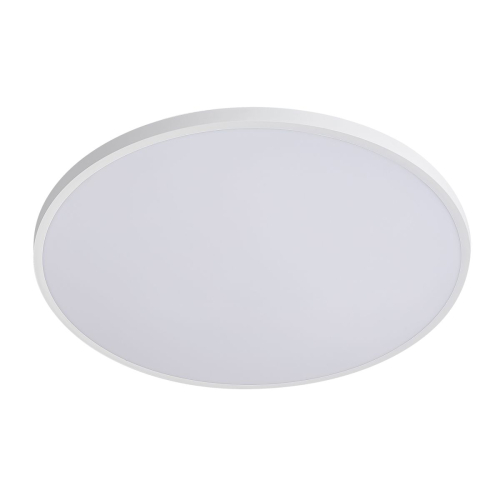 Настенно-потолочный светильник Lightstar Arco Eco 225741 изображение в интернет-магазине Cramer Light