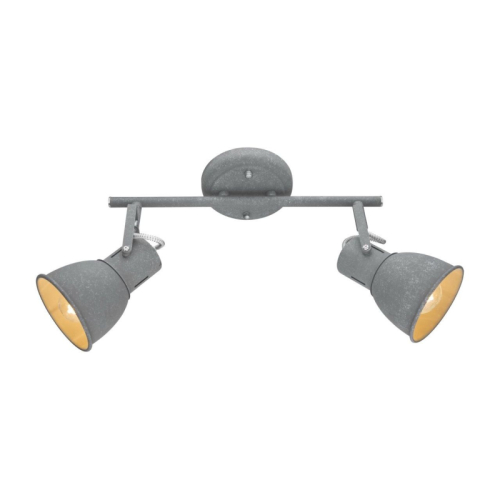 Спот Arte Lamp A1677PL-2GY изображение в интернет-магазине Cramer Light