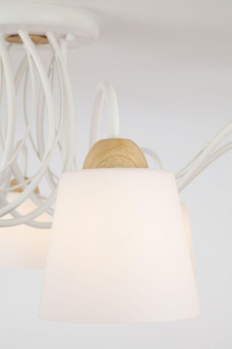 Потолочная люстра Eurosvet Betty 70062/8 белый изображение в интернет-магазине Cramer Light фото 3