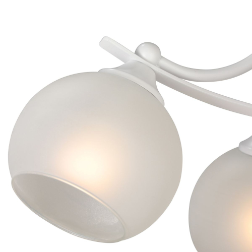 Потолочная люстра Vitaluce V2564-0/4PL изображение в интернет-магазине Cramer Light фото 2