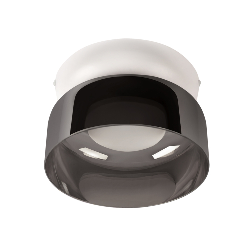 Потолочный светильник LOFT IT Totem 10466 Smoke изображение в интернет-магазине Cramer Light