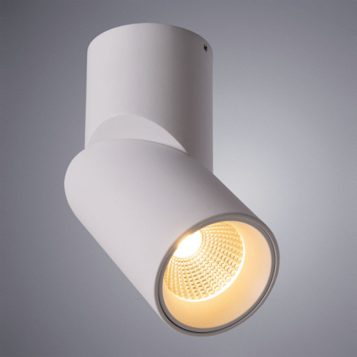 Накладной светильник ARTE Lamp A7717PL-1WH изображение в интернет-магазине Cramer Light фото 2