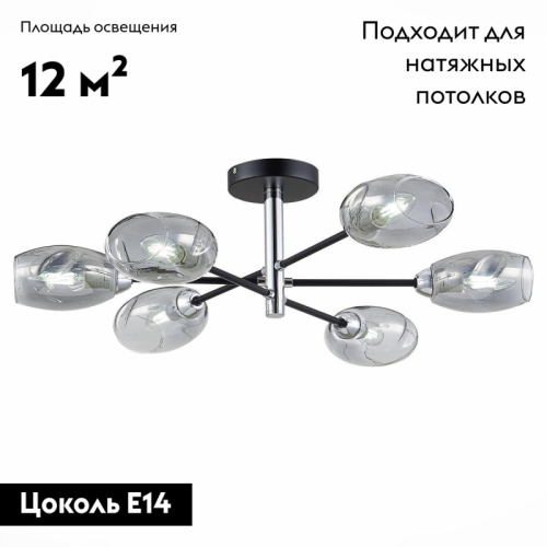 Потолочная люстра Evoluce Gloa SLE155512-06 изображение в интернет-магазине Cramer Light фото 2