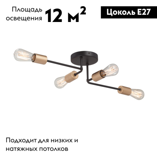 Потолочная люстра Vitaluce V3005-1/4PL изображение в интернет-магазине Cramer Light фото 2