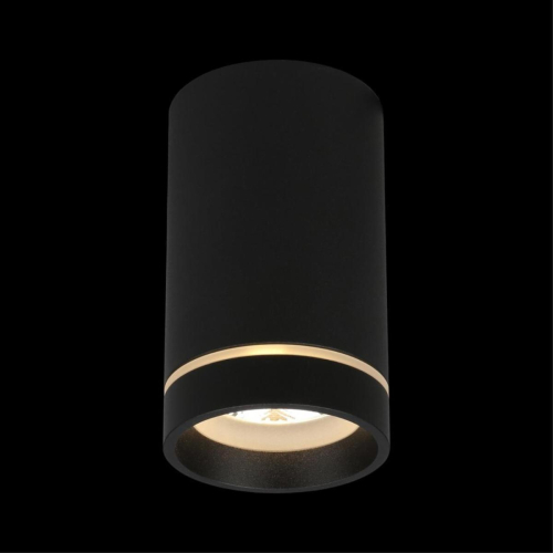 Потолочный светильник Aployt Edda APL.0053.19.10 изображение в интернет-магазине Cramer Light фото 7