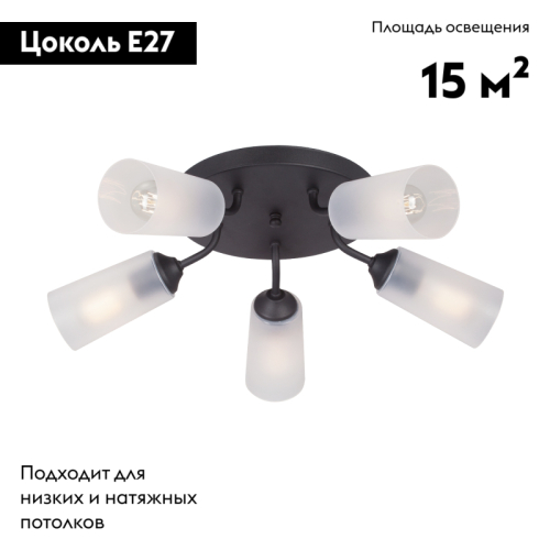 Потолочная люстра Vitaluce V3762-1/5PL изображение в интернет-магазине Cramer Light фото 2
