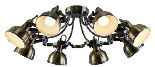 Потолочная люстра Arte Lamp Martin A5216PL-8AB изображение в интернет-магазине Cramer Light