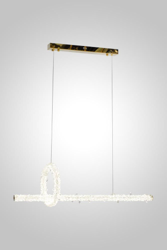 Подвесная люстра AM Group Ovale GD D1000+300 изображение в интернет-магазине Cramer Light фото 2