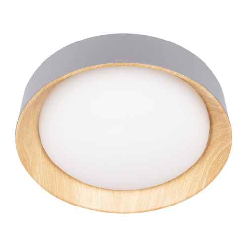 Потолочный светильник Loft IT Coin 10202 Grey изображение в интернет-магазине Cramer Light фото 7