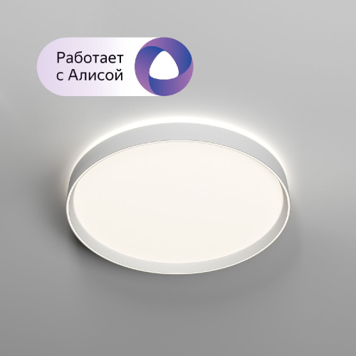 Потолочный светильник Denkirs Plato DK6511-WH/1 изображение в интернет-магазине Cramer Light