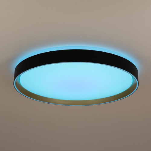 Потолочный светильник Citilux Boss CL751451G изображение в интернет-магазине Cramer Light фото 10