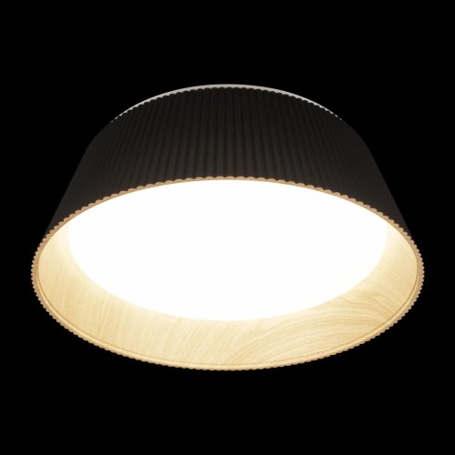 Потолочный светильник Loft IT Evans 10224 Black изображение в интернет-магазине Cramer Light фото 4