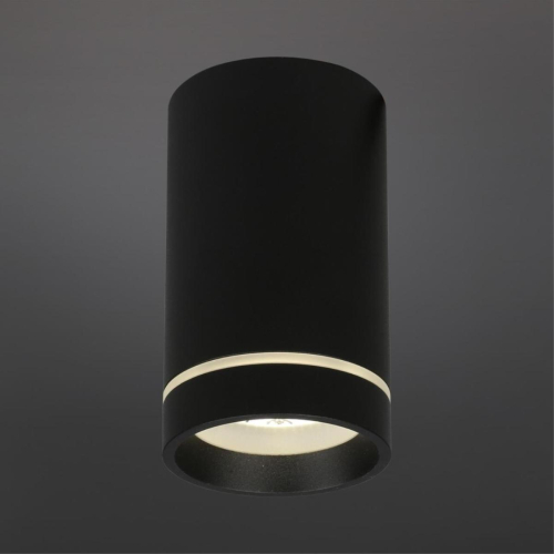 Потолочный светильник Aployt Edda APL.0054.19.10 изображение в интернет-магазине Cramer Light фото 2