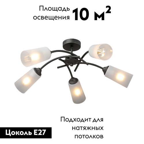 Потолочная люстра Vitaluce V2850-1/5PL изображение в интернет-магазине Cramer Light фото 2