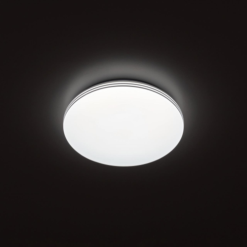 Потолочный светильник Citilux Симпла CL71424SV изображение в интернет-магазине Cramer Light фото 8