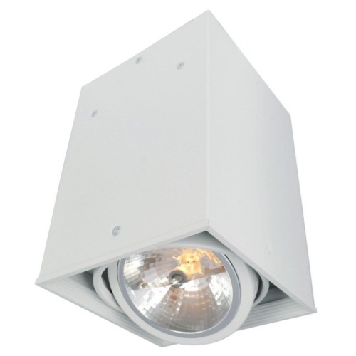 Потолочный светильник Arte Lamp Cardani A5936PL-1WH изображение в интернет-магазине Cramer Light