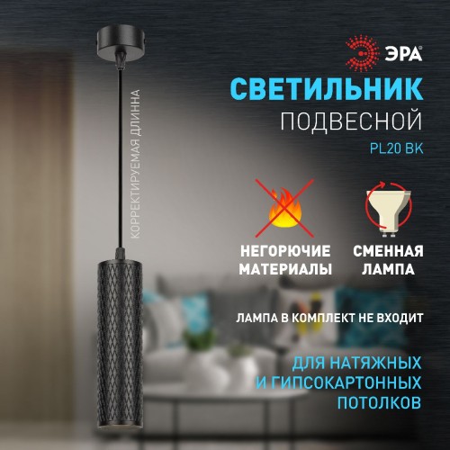 Подвесной светильник Эра PL20 BK Б0058500 изображение в интернет-магазине Cramer Light фото 9