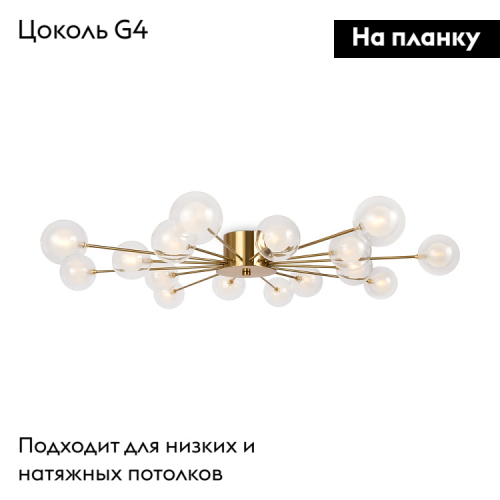 Потолочная люстра Freya Celebrity FR5242CL-16BS1 изображение в интернет-магазине Cramer Light фото 2