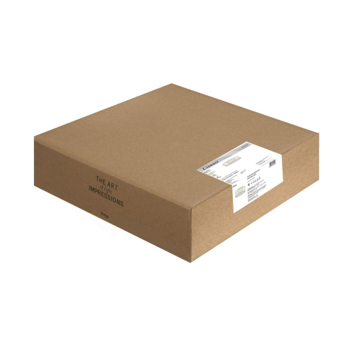 Потолочный светильник Freya Lusso FR1018CL-05G изображение в интернет-магазине Cramer Light фото 3