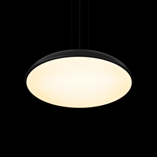Подвесной светильник Loft IT Dime 10371P Black изображение в интернет-магазине Cramer Light фото 4