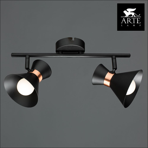 Спот Arte Lamp Baltimore A1406AP-2BK изображение в интернет-магазине Cramer Light фото 4