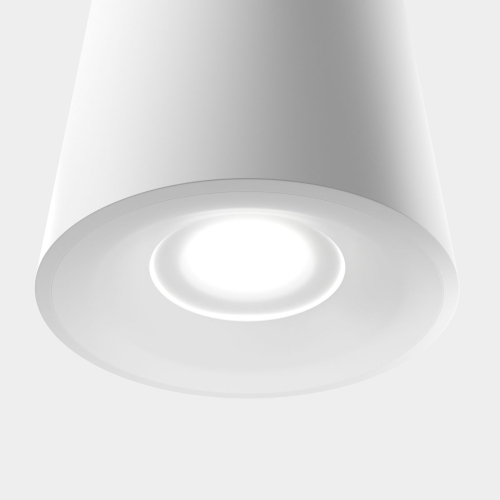 Накладной светильник Lightera Shamrock LE200CL-1W изображение в интернет-магазине Cramer Light фото 2