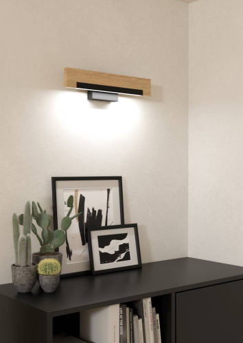 Настенный светильник Eglo Camacho 901738 изображение в интернет-магазине Cramer Light фото 2