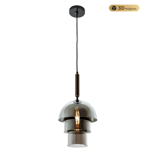 Подвесной светильник Modestyle MS.220.250 BK изображение в интернет-магазине Cramer Light