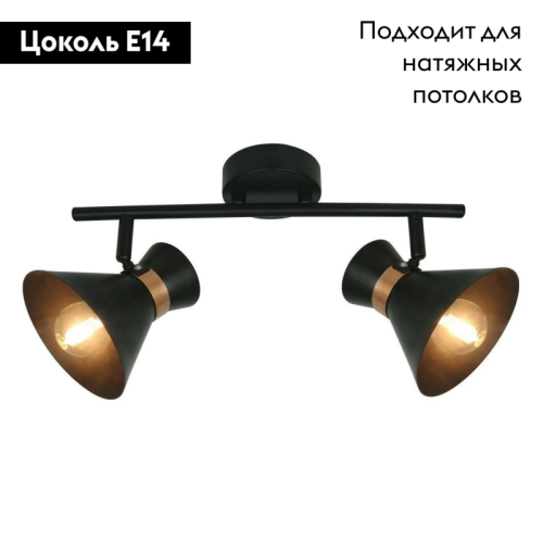 Спот Arte Lamp Baltimore A1406AP-2BK изображение в интернет-магазине Cramer Light фото 2