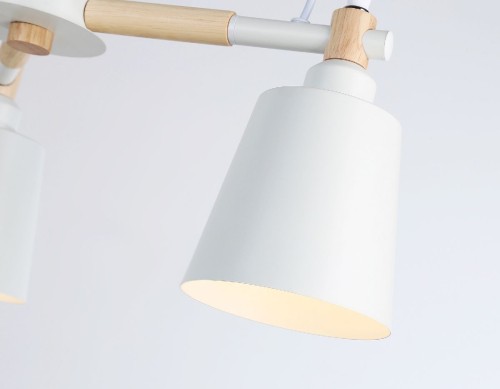 Люстра на штанге Ambrella Light Loft TR82204 изображение в интернет-магазине Cramer Light фото 4