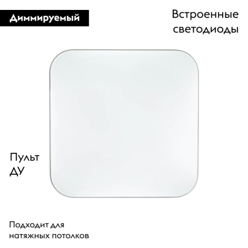 Настенно-потолочный светильник Sonex Lona 3020/DL изображение в интернет-магазине Cramer Light фото 2