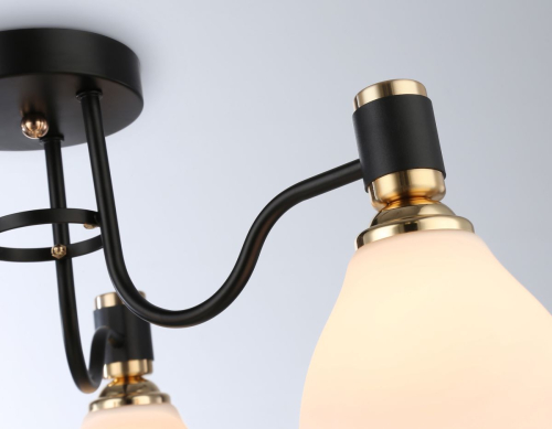 Потолочная люстра Ambrella Light Modern TR303303 изображение в интернет-магазине Cramer Light фото 5