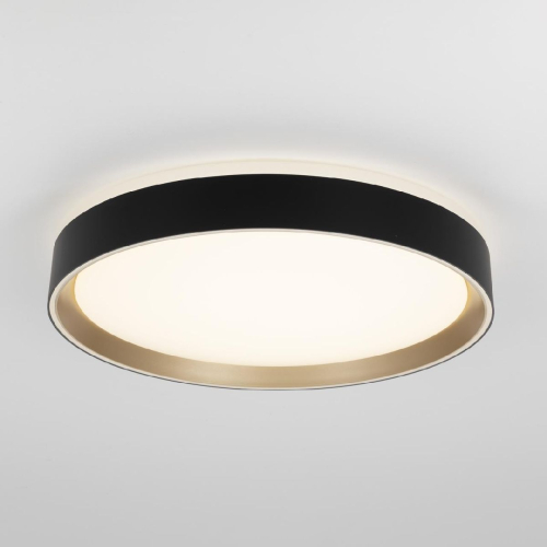 Потолочный светильник Citilux Boss CL751351G изображение в интернет-магазине Cramer Light фото 2