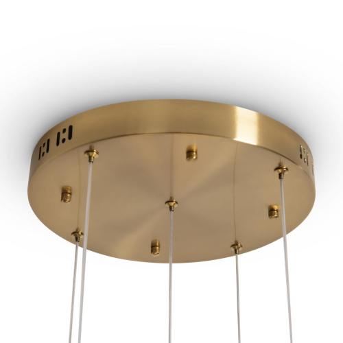 Подвесной светильник Freya Flower FR5579PL-L40BS изображение в интернет-магазине Cramer Light фото 3