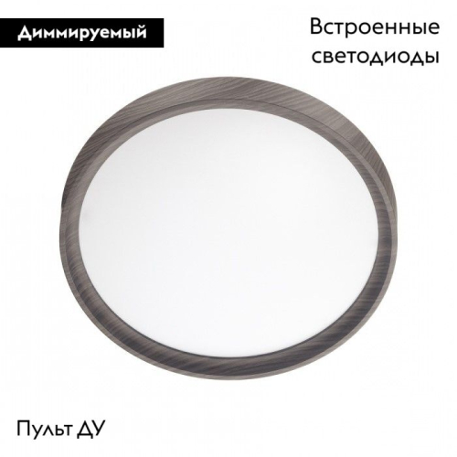 Настенно-потолочный светильник Sonex Woodi 7627/EL изображение в интернет-магазине Cramer Light фото 2