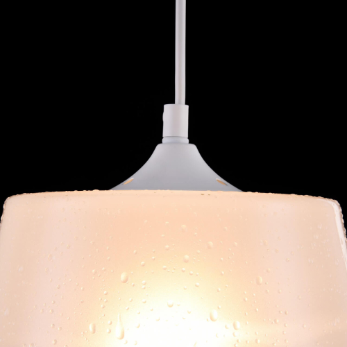 Подвесной светильник Maytoni Walter P528PL-01W изображение в интернет-магазине Cramer Light фото 2