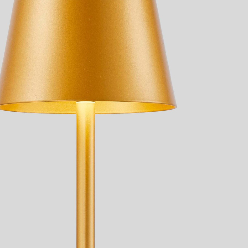 Настольная лампа F-Promo Pyari 4616-1T изображение в интернет-магазине Cramer Light фото 4