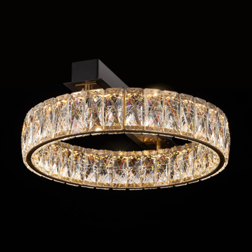 Потолочная люстра Citilux Palant CL325142 изображение в интернет-магазине Cramer Light фото 8