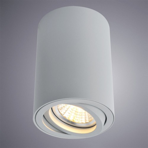 Потолочный светильник Arte Lamp A1560PL-1GY изображение в интернет-магазине Cramer Light фото 2