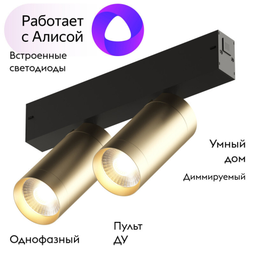 Трековый светильник Denkirs Smart DK8012-BG изображение в интернет-магазине Cramer Light фото 2