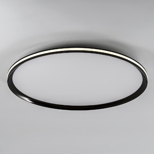 Потолочный светильник LED4U L3020-600 BK изображение в интернет-магазине Cramer Light фото 5