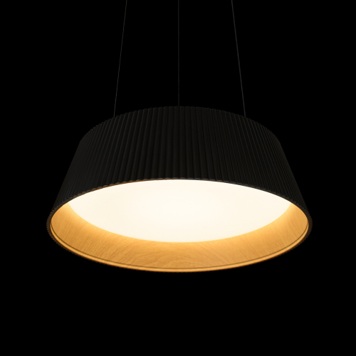 Подвесной светильник Loft IT Evans 10224P Black изображение в интернет-магазине Cramer Light фото 8