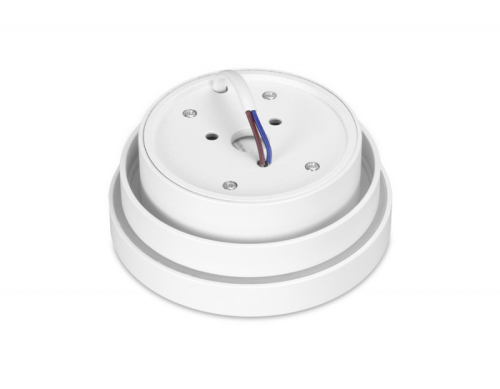 Накладной светильник Ambrella Light TN601 изображение в интернет-магазине Cramer Light фото 4