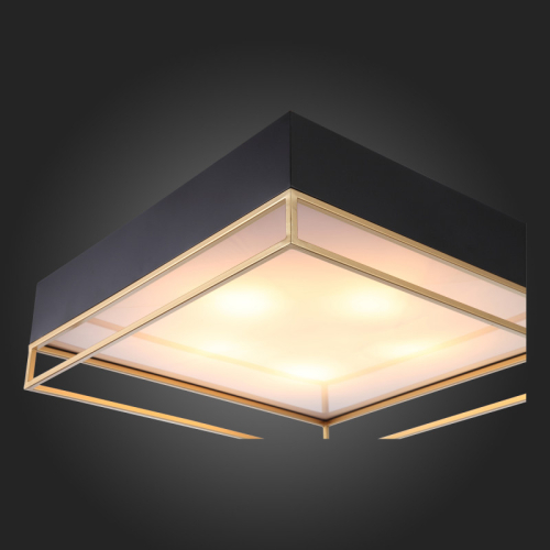 Накладная люстра ST-Luce SL1127.422.05 изображение в интернет-магазине Cramer Light фото 6