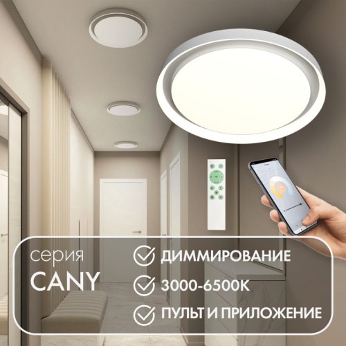 Потолочный светильник Denkirs Cany DK6516-WH изображение в интернет-магазине Cramer Light фото 2