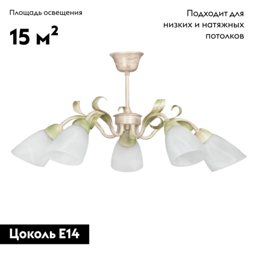 Потолочная люстра Vitaluce V1535/5PL изображение в интернет-магазине Cramer Light фото 2