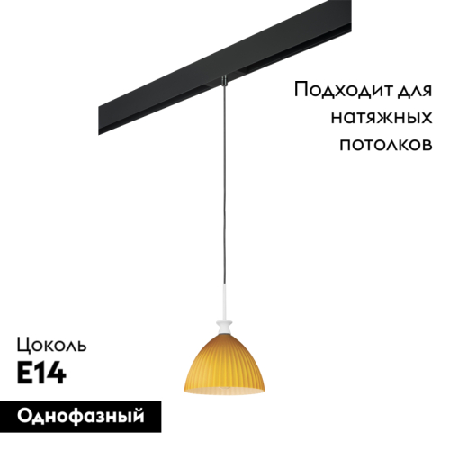 Трековый светильник Lightstar Agola PRO810023 (810023+595007) изображение в интернет-магазине Cramer Light фото 2