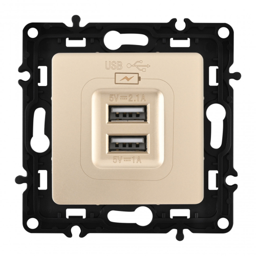 Розетка USB 2.1А+1А Arte Milano 217.46-1.shampan дополнительное фото фото 4
