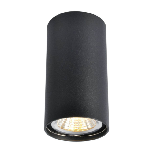 Потолочный светильник Arte Lamp A1516PL-1BK изображение в интернет-магазине Cramer Light