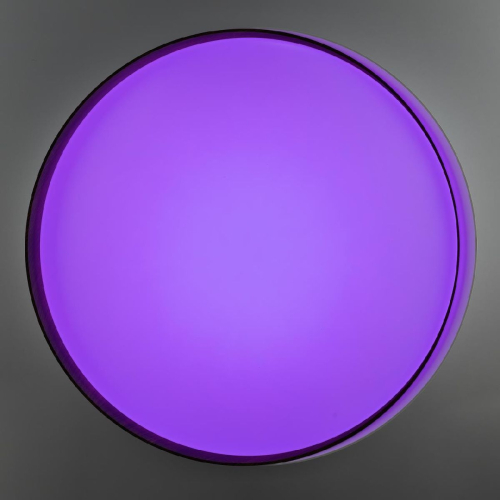 Потолочный светильник Citilux Bonny CL754450G изображение в интернет-магазине Cramer Light фото 8